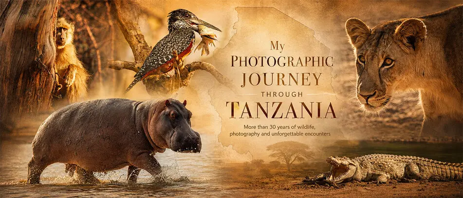 A personal photographic journey through Tanzania, illustrated with wildlife from Nyerere, Ruaha and other iconic safari landscapes.