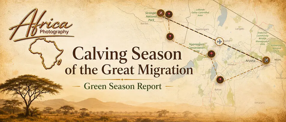 The map of the calving season safari report being held in february 2026 as a photographic safari in Tanzania