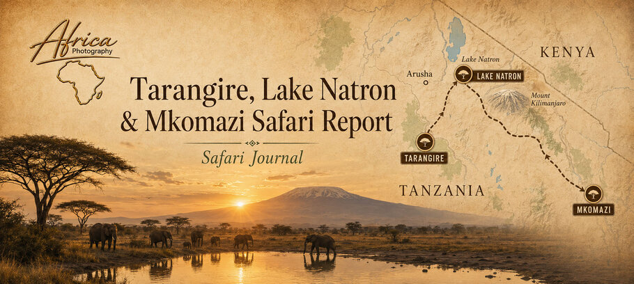 lake natron, tarangire and mkomazi bespoke safari in Tanzania