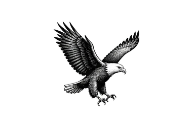 African fish eagle in the Ngorongoro area during a photographic safari in Tanzania
