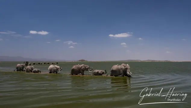 Amboseli Nationa Park