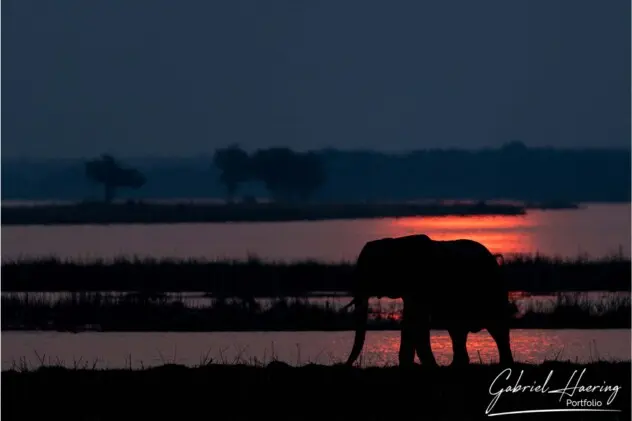 Zimbabwe national parks pictures