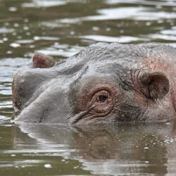 Sunrise in Serengeti National Park, Tanzania, photographed during a guided photographic safari.
