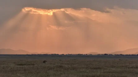 Sunrise in Serengeti National Park, Tanzania, photographed during a guided photographic safari.