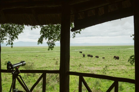 View from Katavi Wildlife Camp veranda across open plains with buffaloes in the distance