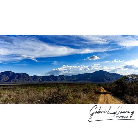 Remote savannah landscape in Mkomazi National Park during a bespoke Tanzania photo safari