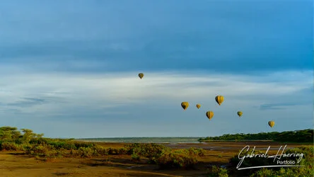 Ndutu Lake in Ngorongoro Conservation Area, Tanzania, photographed during a guided photographic safari.