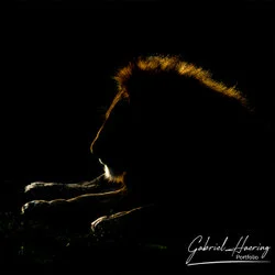 Lion in Serengeti National Park, Tanzania, photographed during a guided photographic safari.