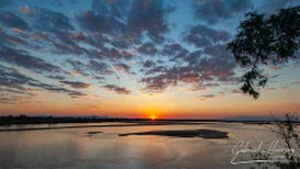 Scenic sunset  on the Rufiji River in Nyerere National Park with water channels and natural Southern Tanzania landscape