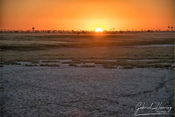 Photography portfolio of Makgadikgadi pan Botswana