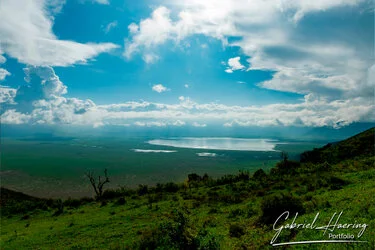 Ngorongoro Crater view in Ngorongoro Conservation area, Tanzania, photographed during a guided photographic safari.