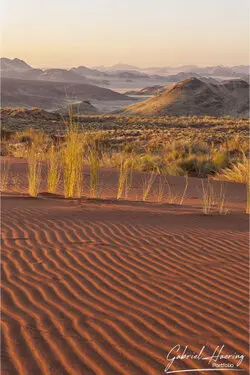 Photo of Namib Naukluft deadvlei and sossusvlei