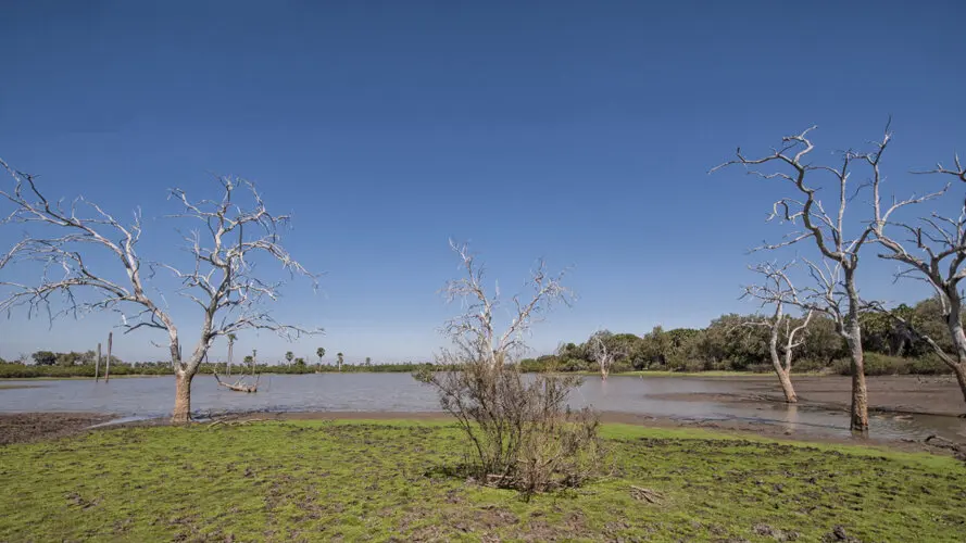 Selous Tanzania Landscape photography