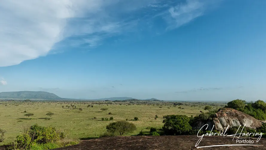 Photography of Serengeti National Park