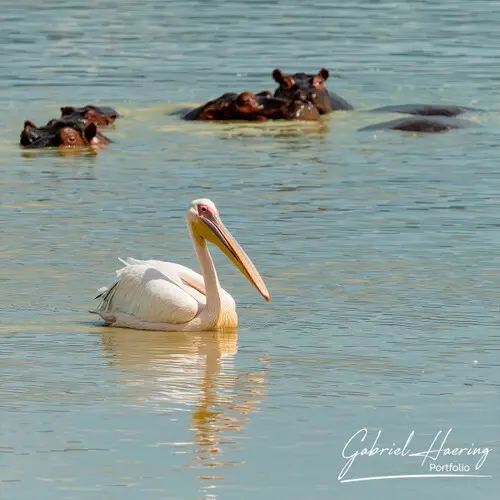 Photography of Ngorongoro Crater
