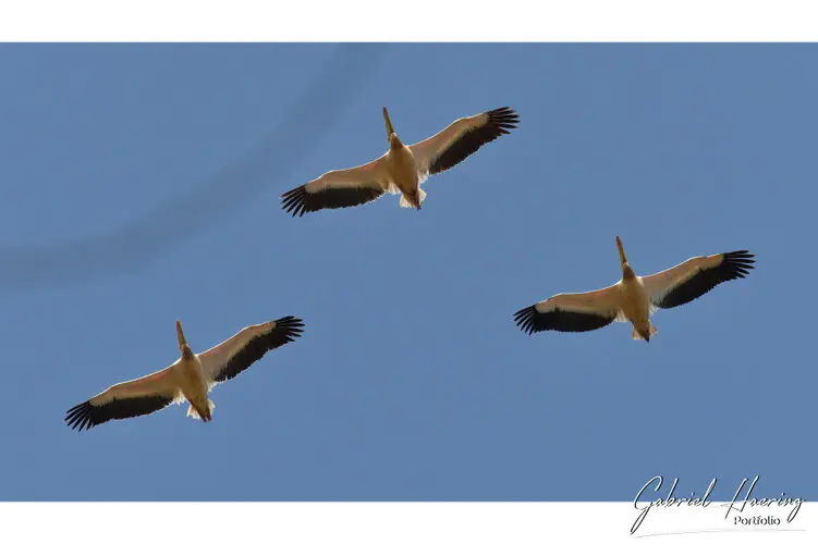 Photography of Ngorongoro Crater