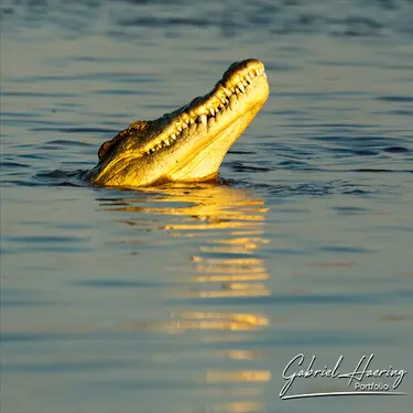 Photography of Lake Kariba in Zimbabwe by Gabriel Haering