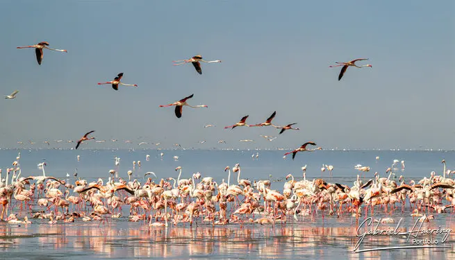 Photography of Lake Natron region by Gabriel Haering