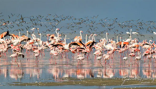 Photography of Lake Natron region by Gabriel Haering