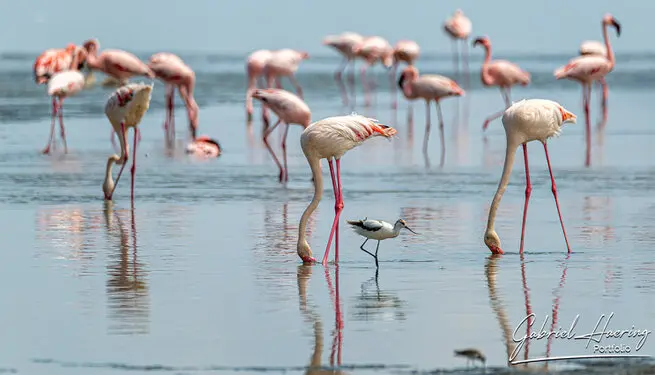 Photography of Lake Natron region by Gabriel Haering