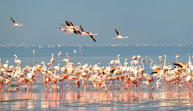 Photography of Lake Natron region by Gabriel Haering